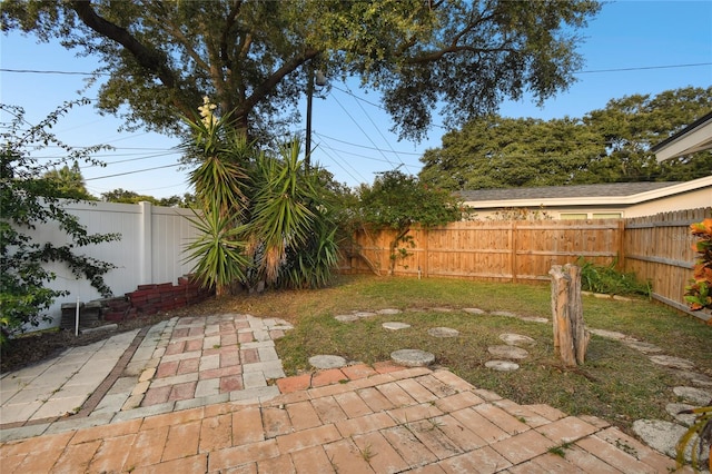 view of yard featuring a patio area