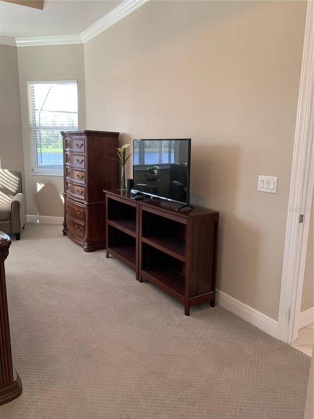 carpeted office space featuring crown molding