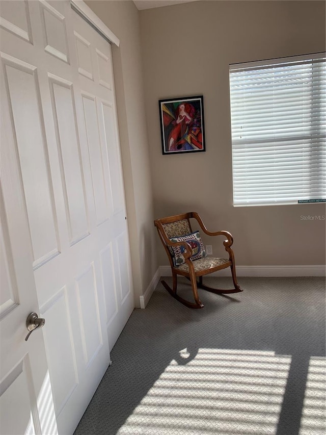 living area with carpet