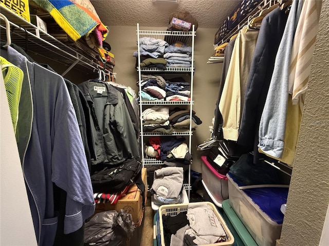 view of spacious closet