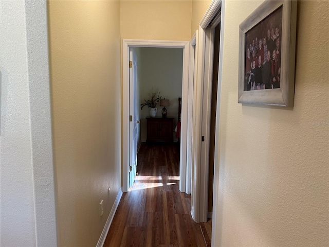 hallway with dark hardwood / wood-style flooring