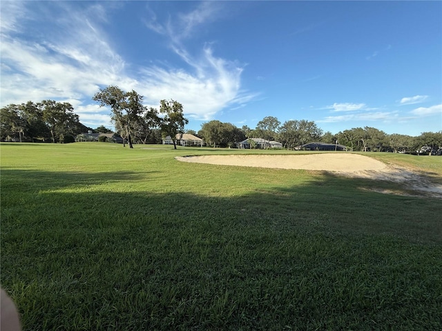 view of home's community with a yard