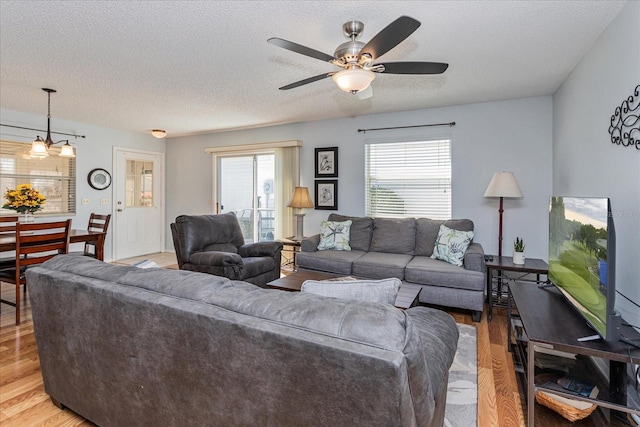 living room featuring light hardwood / wood-style floors, ceiling fan, and a textured ceiling