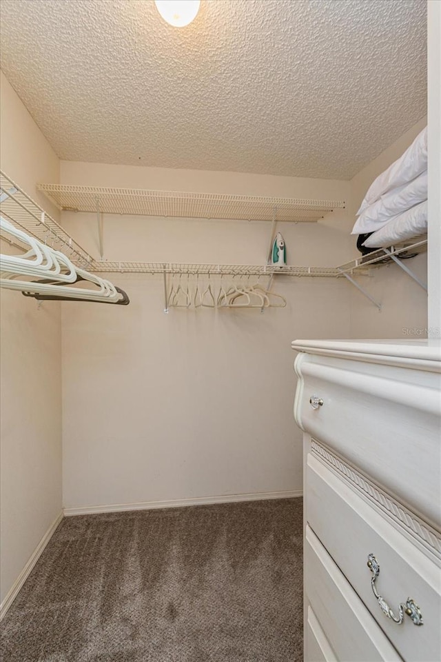 walk in closet with dark carpet