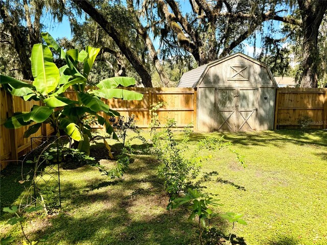 view of yard featuring a shed