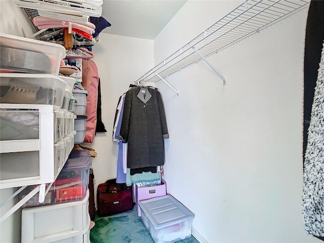 view of spacious closet