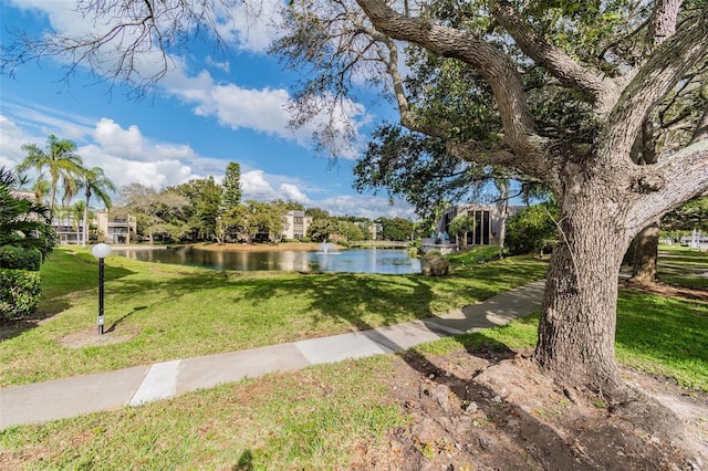 view of property's community with a water view and a lawn