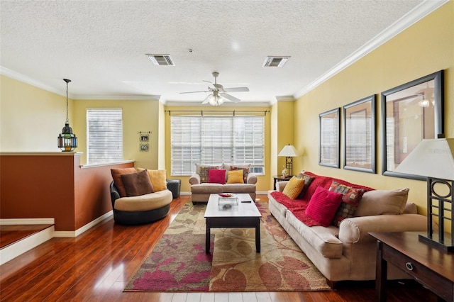 living room with dark wood-type flooring, ceiling fan, crown molding, and a textured ceiling