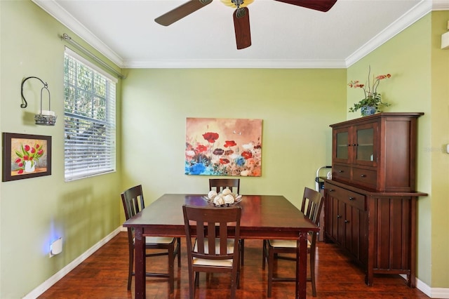 dining room featuring ceiling fan, ornamental molding, and dark hardwood / wood-style flooring