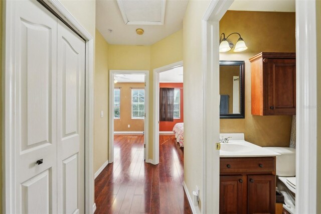 bathroom featuring vanity and hardwood / wood-style flooring