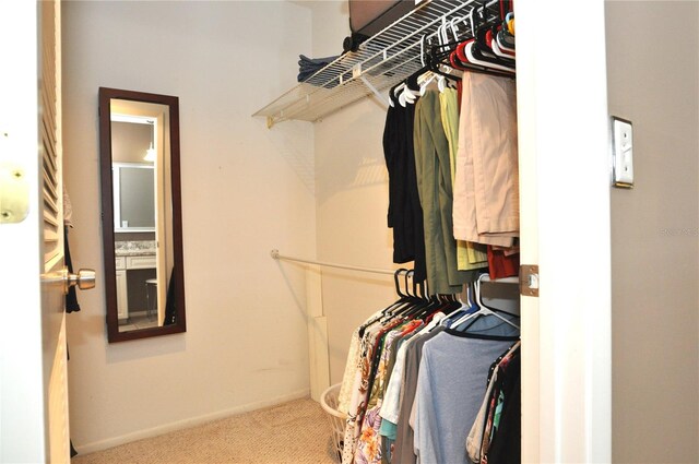 spacious closet featuring carpet floors