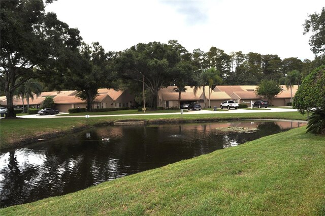 3230 Jademoor Cir, Palm Harbor, FL 34685 - photo 27