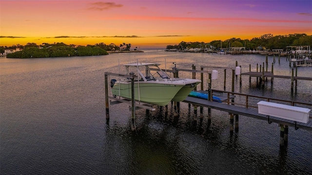 dock area with a water view