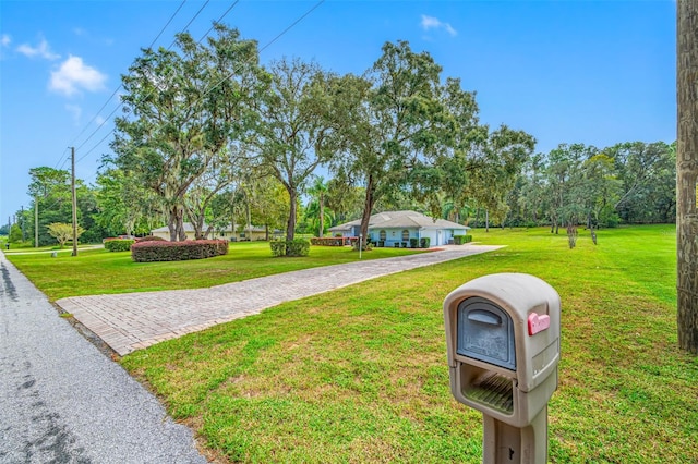 view of property's community with a yard