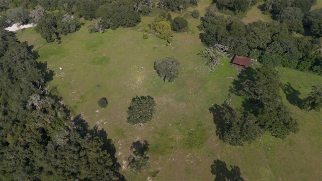 12750 Morris Bridge Rd, Thonotosassa, FL 33592