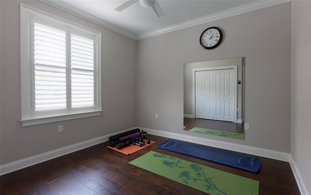 exercise area featuring ornamental molding, ceiling fan, and dark hardwood / wood-style floors