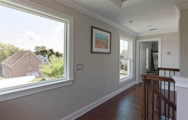 hallway featuring crown molding and dark wood-type flooring