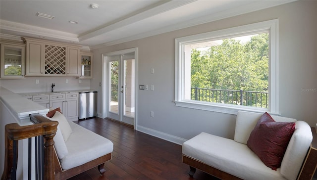 sitting room featuring crown molding, sink, plenty of natural light, and dark hardwood / wood-style flooring