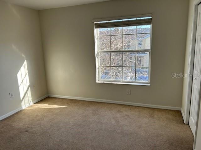 spare room with plenty of natural light and light carpet