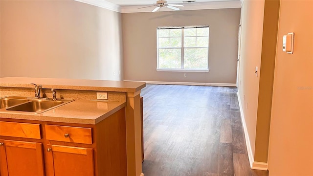 kitchen with ornamental molding, hardwood / wood-style flooring, sink, and ceiling fan