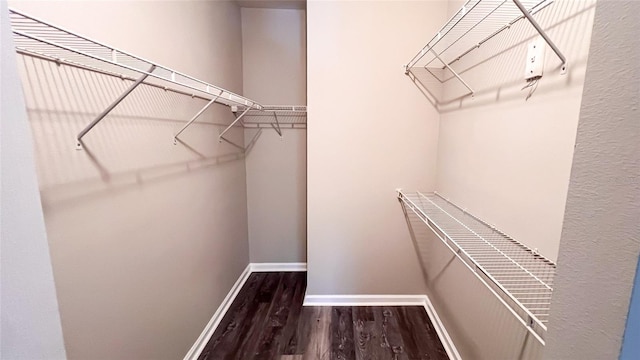 walk in closet featuring dark wood-type flooring