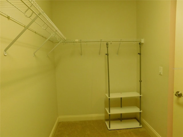 walk in closet featuring light colored carpet