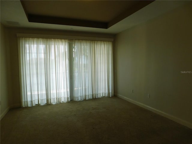 spare room with a raised ceiling and carpet floors