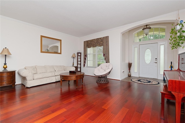 foyer entrance featuring crown molding, hardwood / wood-style floors, and a textured ceiling