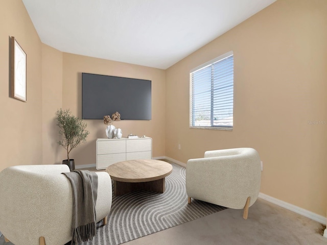 living area with light colored carpet