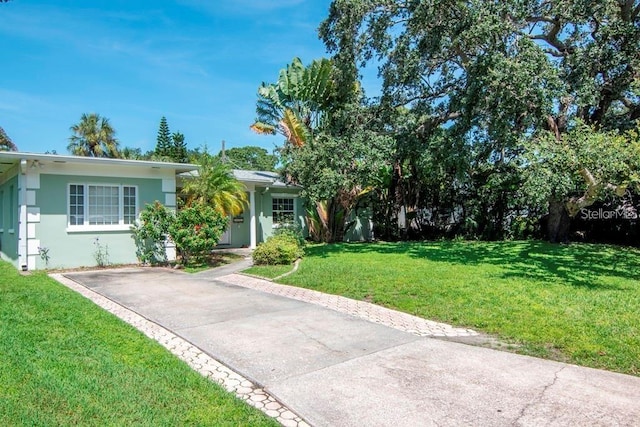 view of property hidden behind natural elements with a front lawn