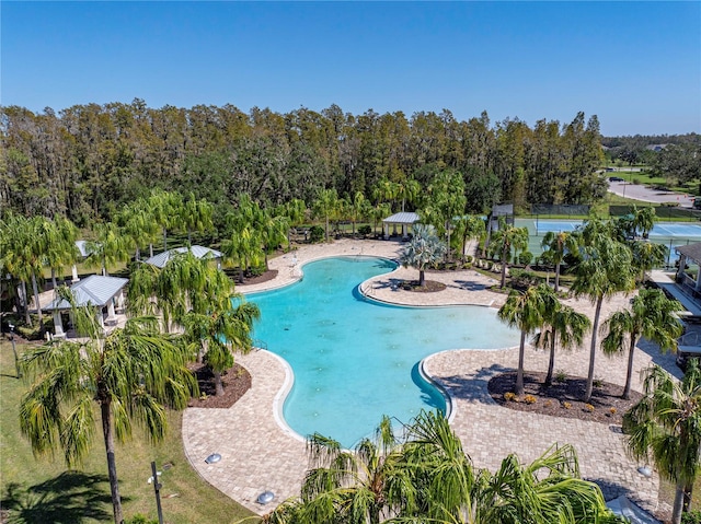 view of pool with a patio area