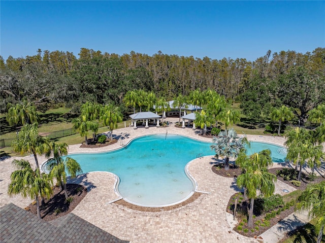 view of pool featuring a patio