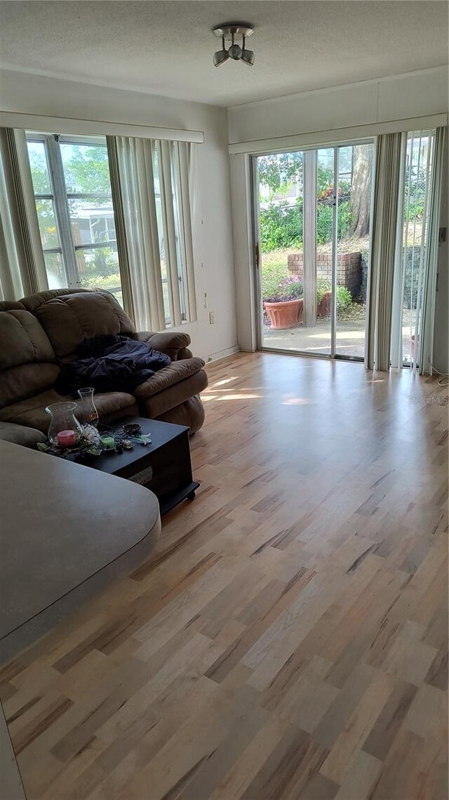 living room featuring light hardwood / wood-style floors, a textured ceiling, and a healthy amount of sunlight