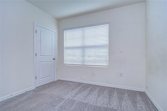 spare room with carpet