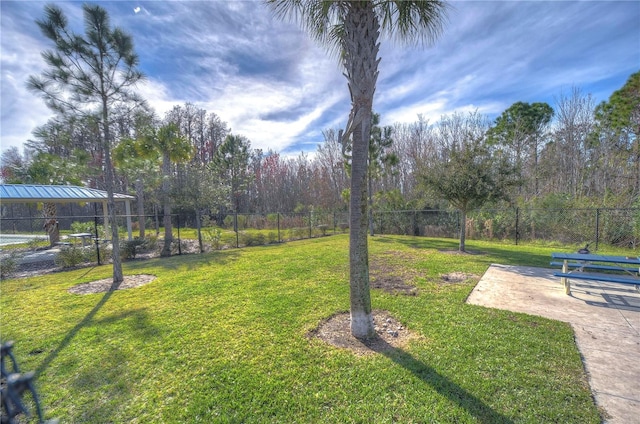 view of yard featuring a patio area