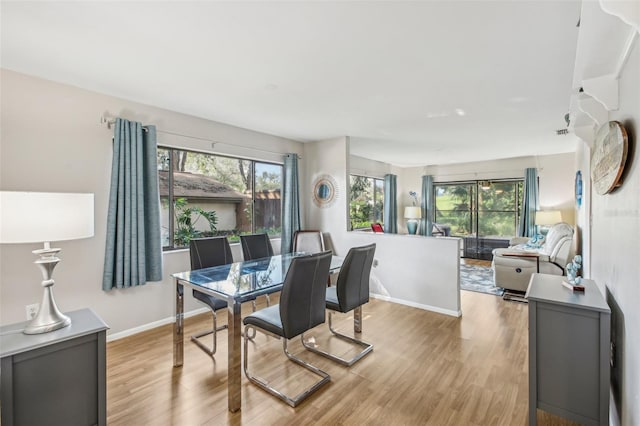 dining area with light hardwood / wood-style flooring