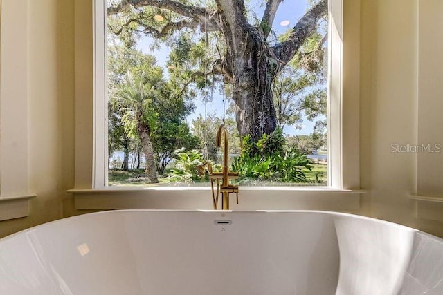 interior details with sink and a tub