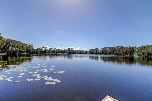 property view of water