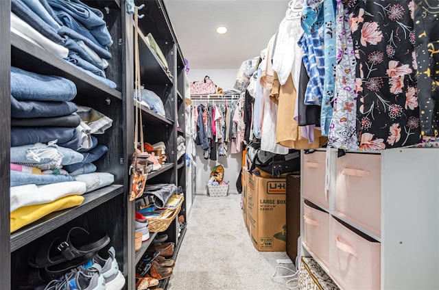 walk in closet with light colored carpet