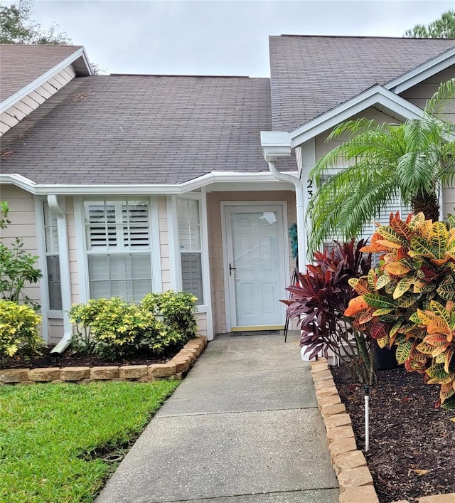 2351 Bentley Dr, Palm Harbor, FL 34684 - property entrance with roof with shingles