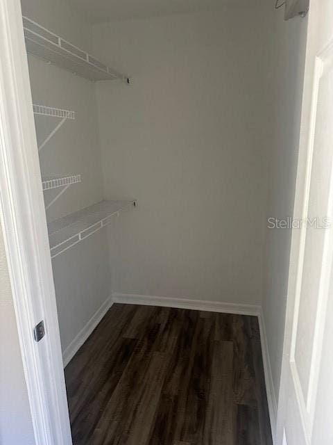 walk in closet with dark hardwood / wood-style floors