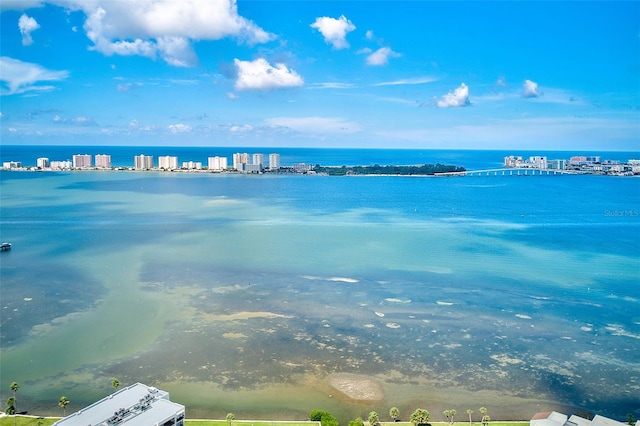 220 Belleview Blvd Unit 802, Belleair, FL 33756 - water view