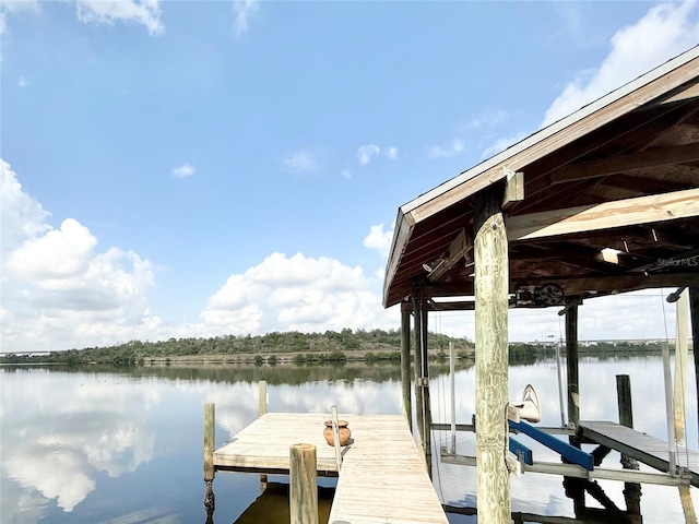 6710 Myrna Dr, Tampa, FL 33619 - photo 22