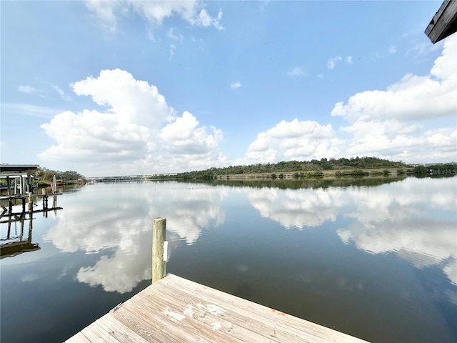 6710 Myrna Dr, Tampa, FL 33619 - photo 23