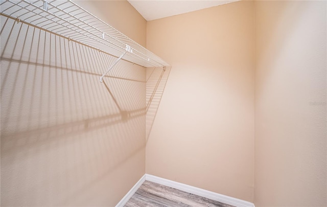 walk in closet featuring wood-type flooring