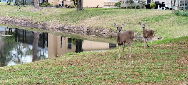 view of yard featuring a water view