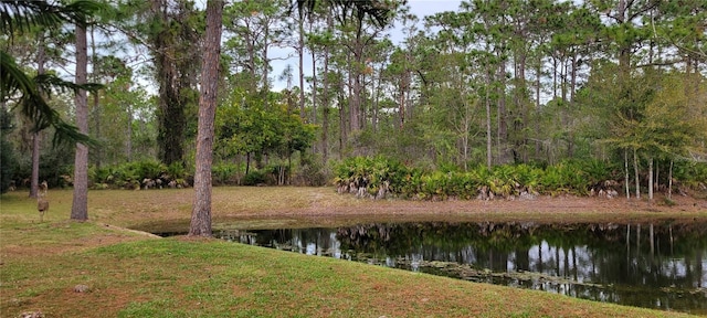 water view