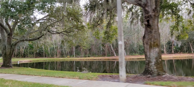 view of home's community with a water view