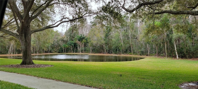 view of home's community with a water view and a lawn