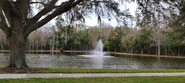 view of home's community featuring a water view